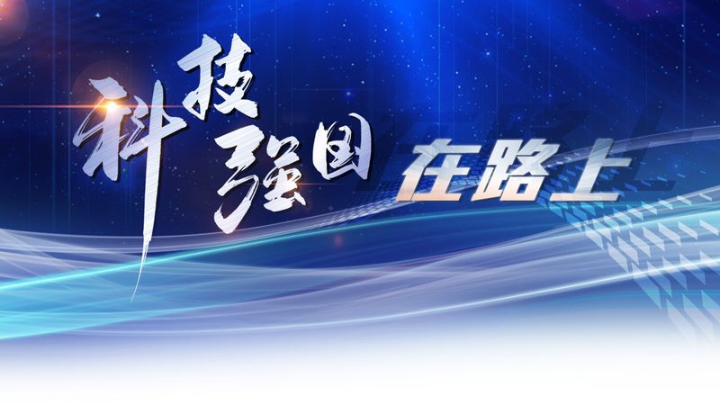 API网关：微服务架构中的守护者